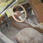 Picture 003